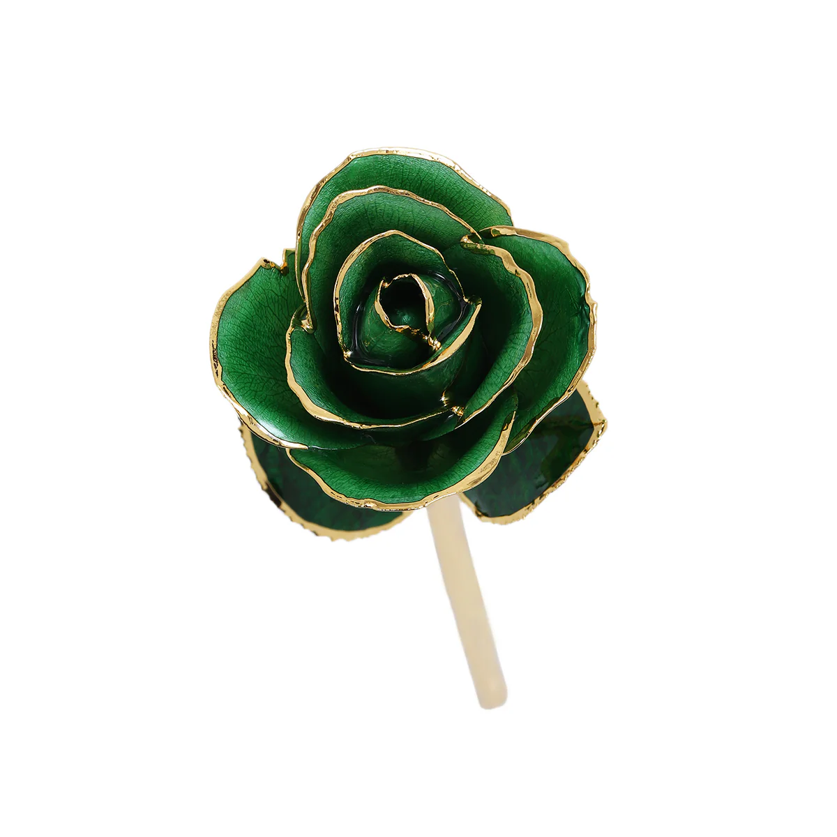 24k Gold Dipped Rose - Image 13