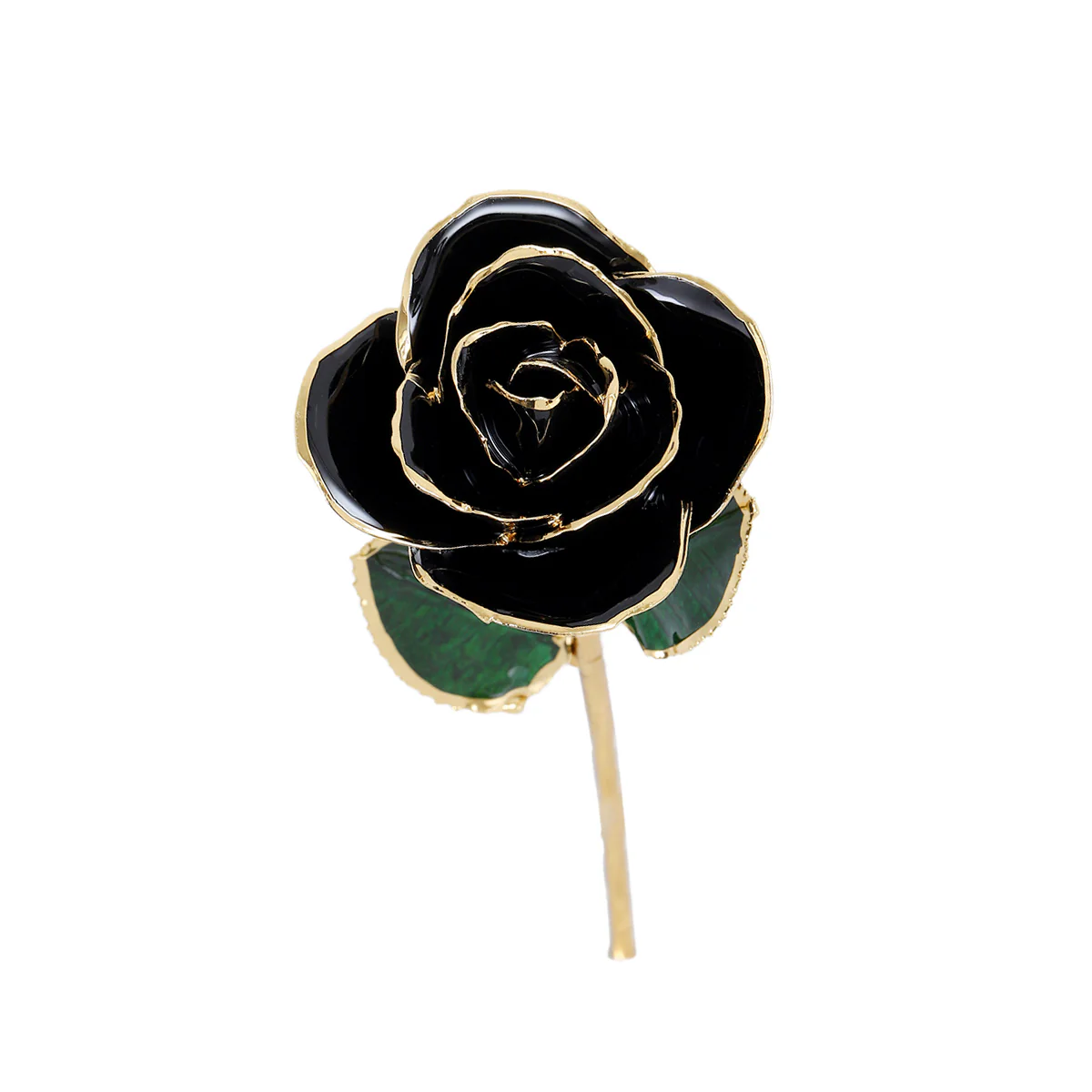 24k Gold Dipped Rose - Image 14