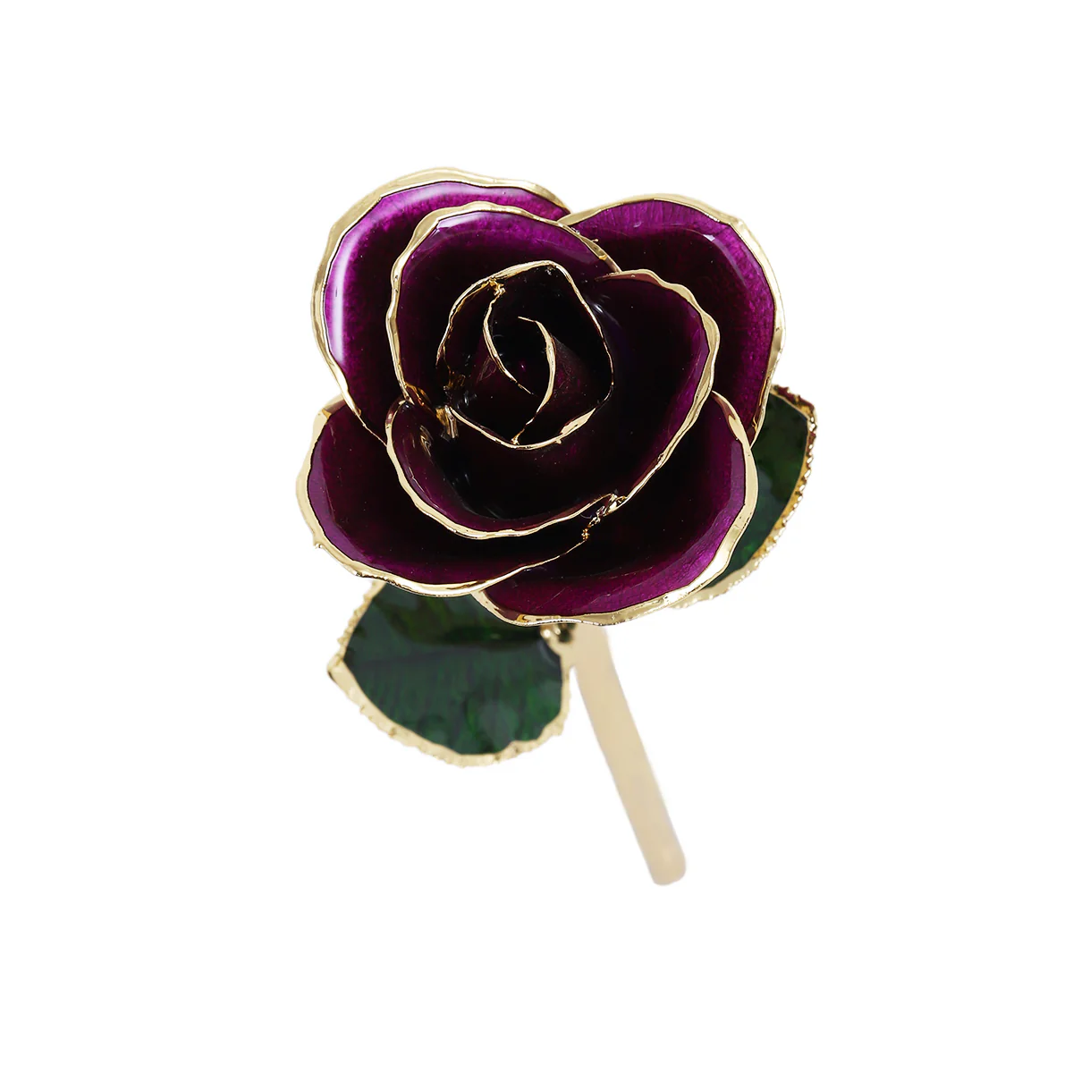 24k Gold Dipped Rose - Image 15