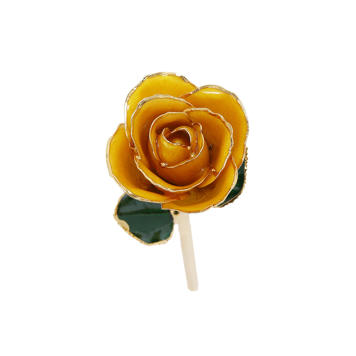 24k Gold Dipped Rose - Image 16