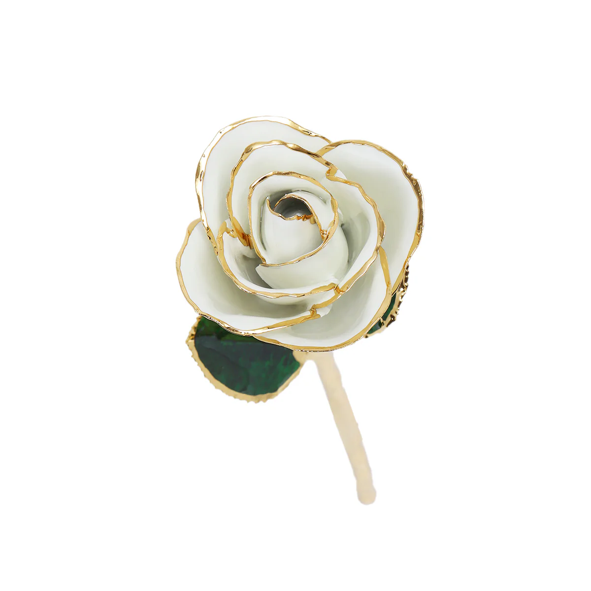 24k Gold Dipped Rose - Image 18