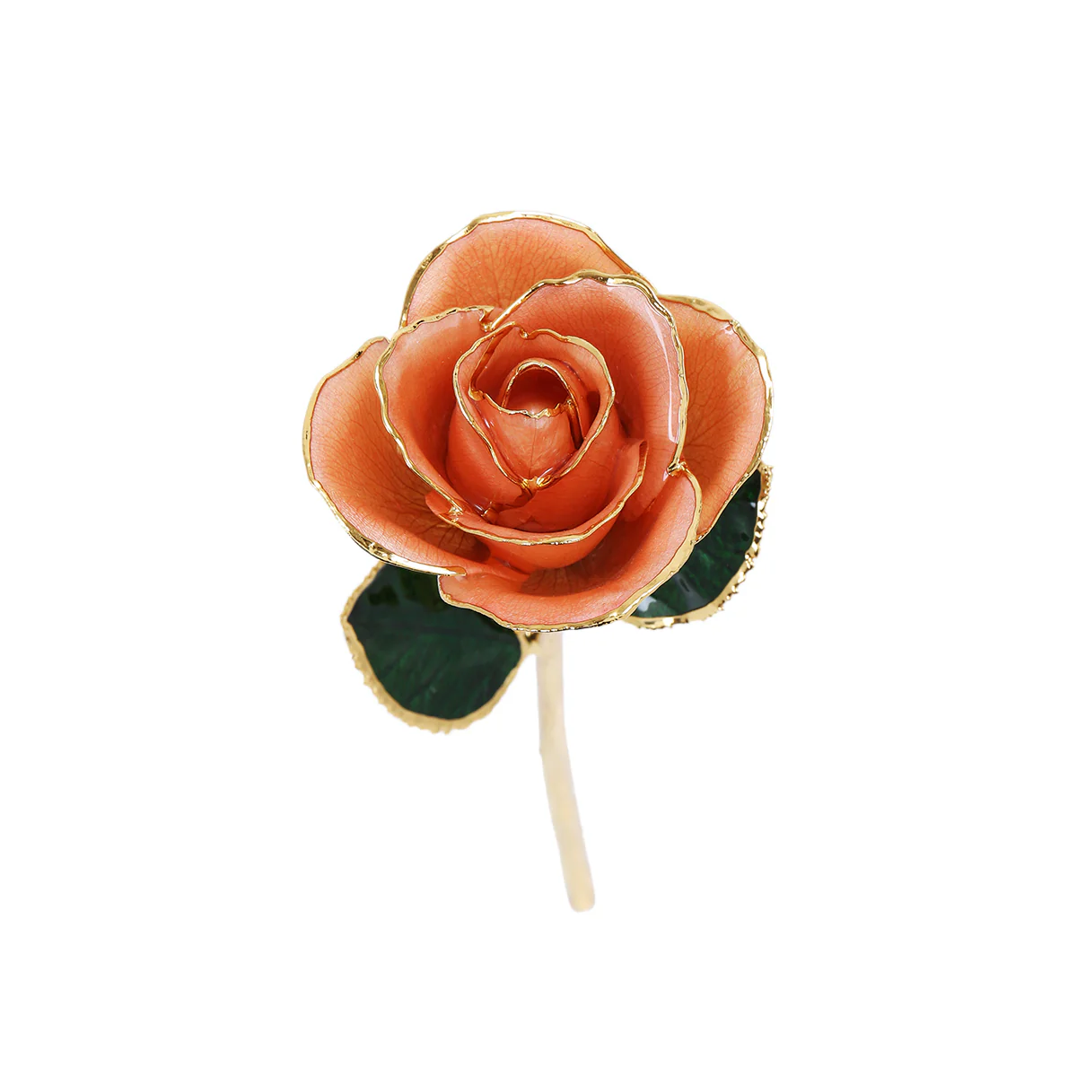 24k Gold Dipped Rose - Image 19
