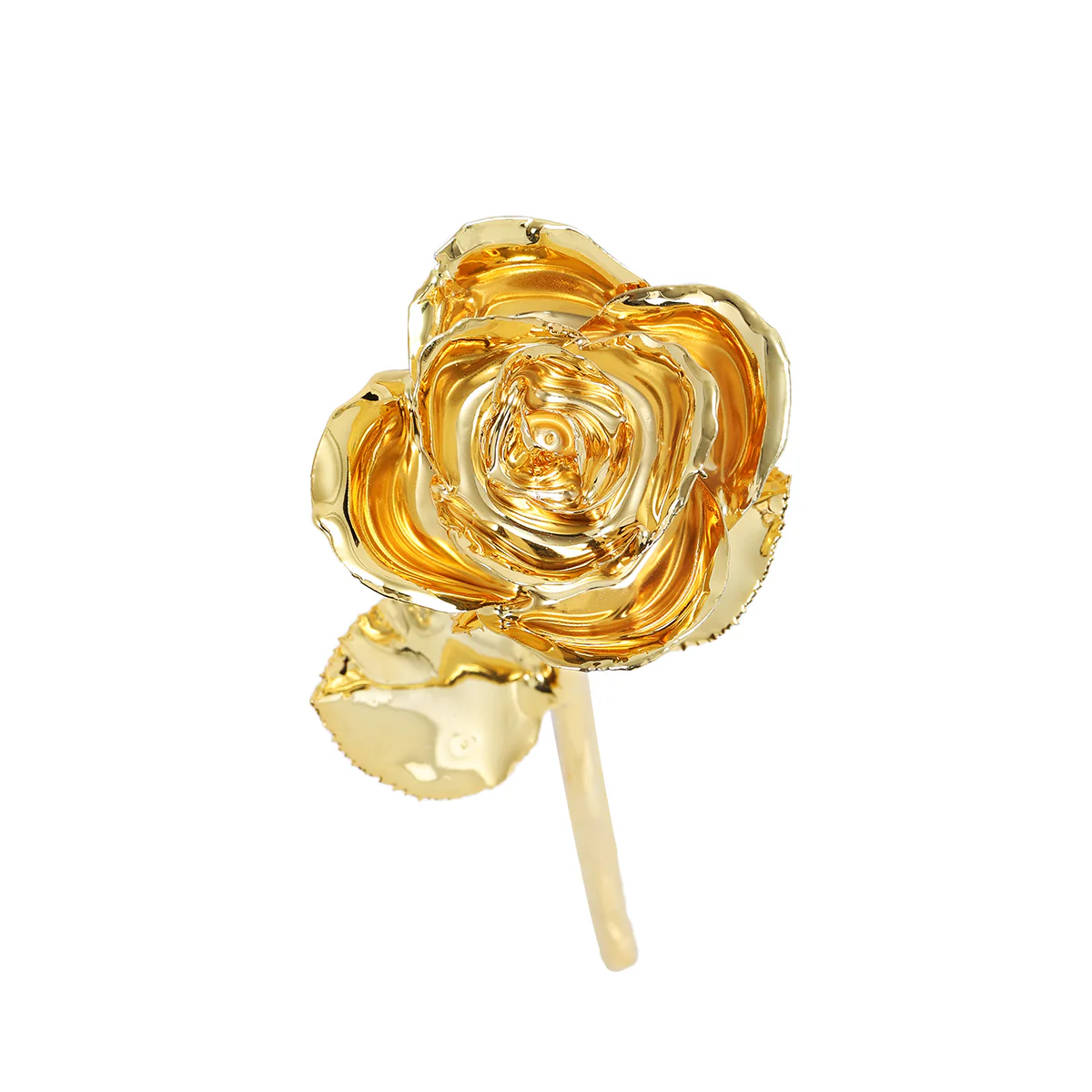 24k Gold Dipped Rose - Image 20