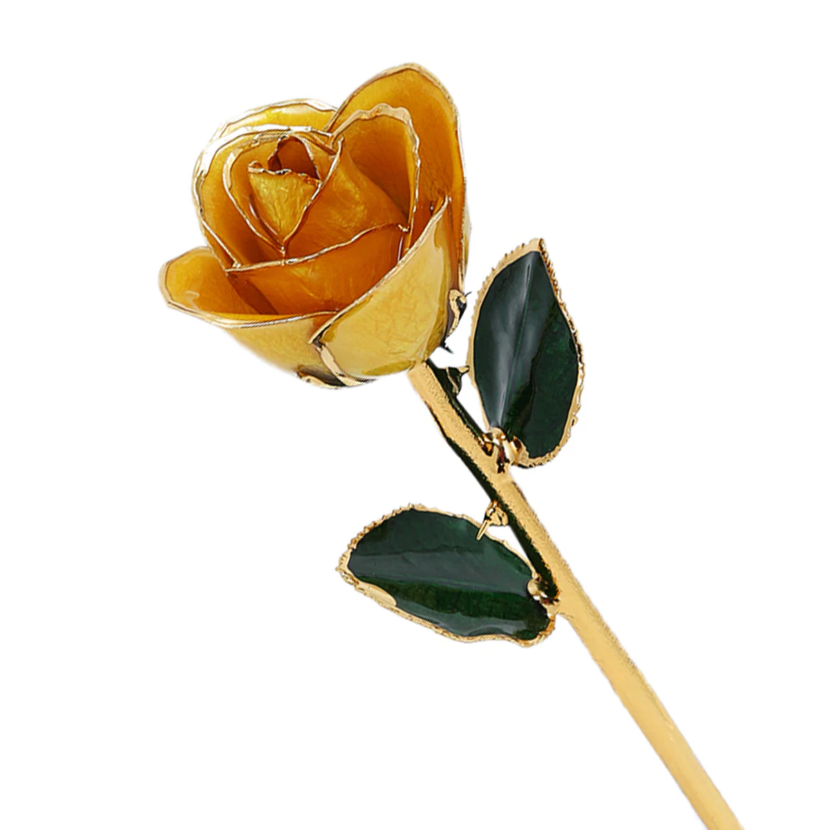 24k Gold Dipped Rose - Image 35
