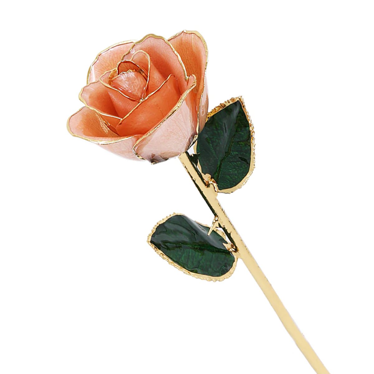 24k Gold Dipped Rose - Image 38