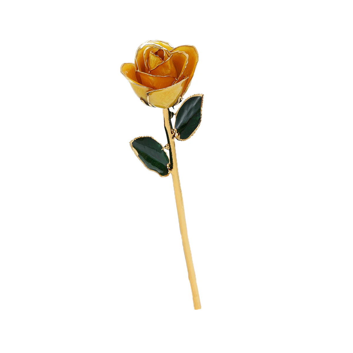 24k Gold Dipped Rose - Image 6