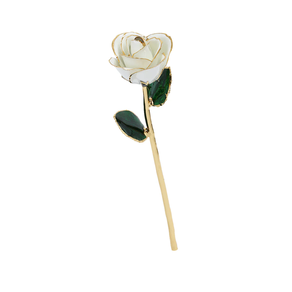 24k Gold Dipped Rose - Image 8