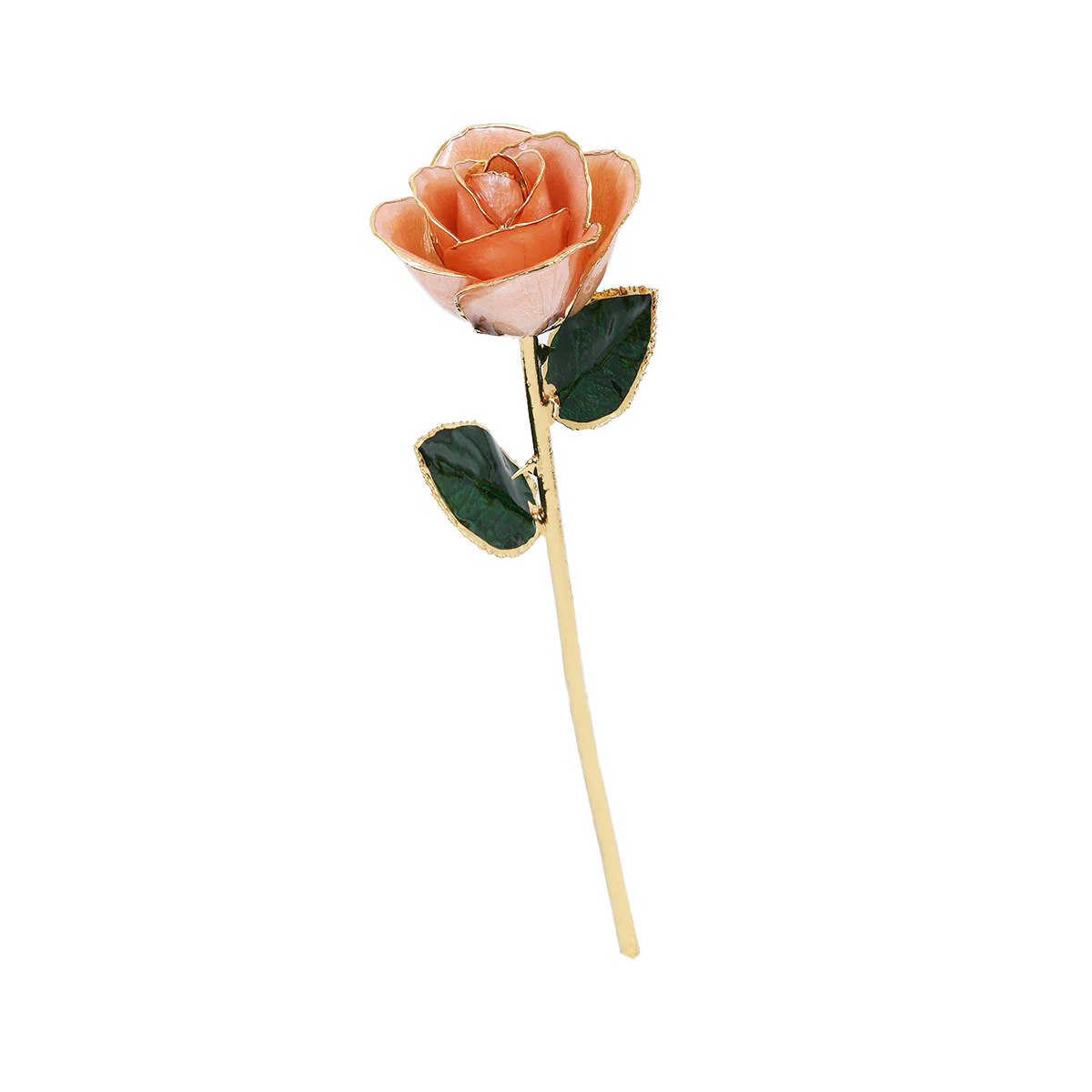 24k Gold Dipped Rose - Image 9
