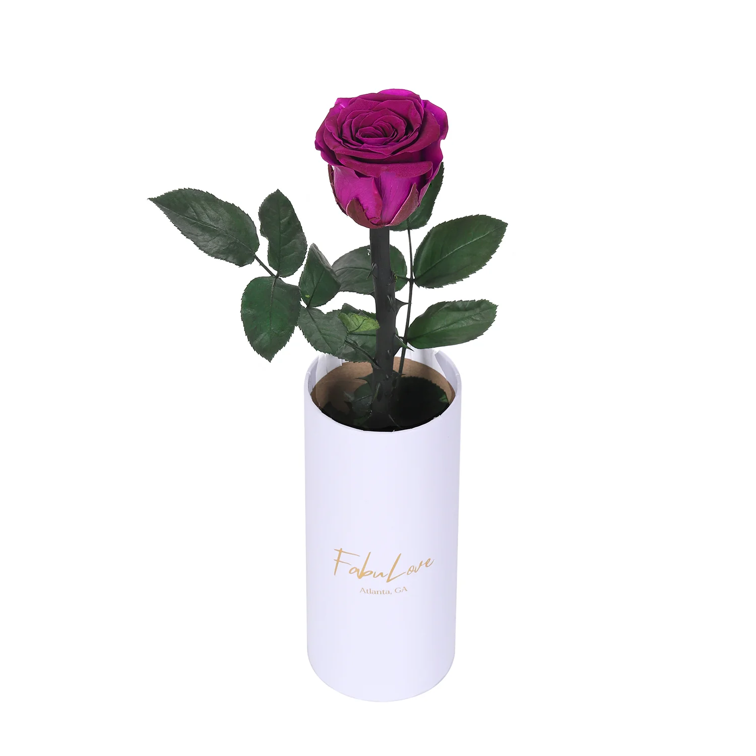 Classic Single Eternal Rose - Image 10