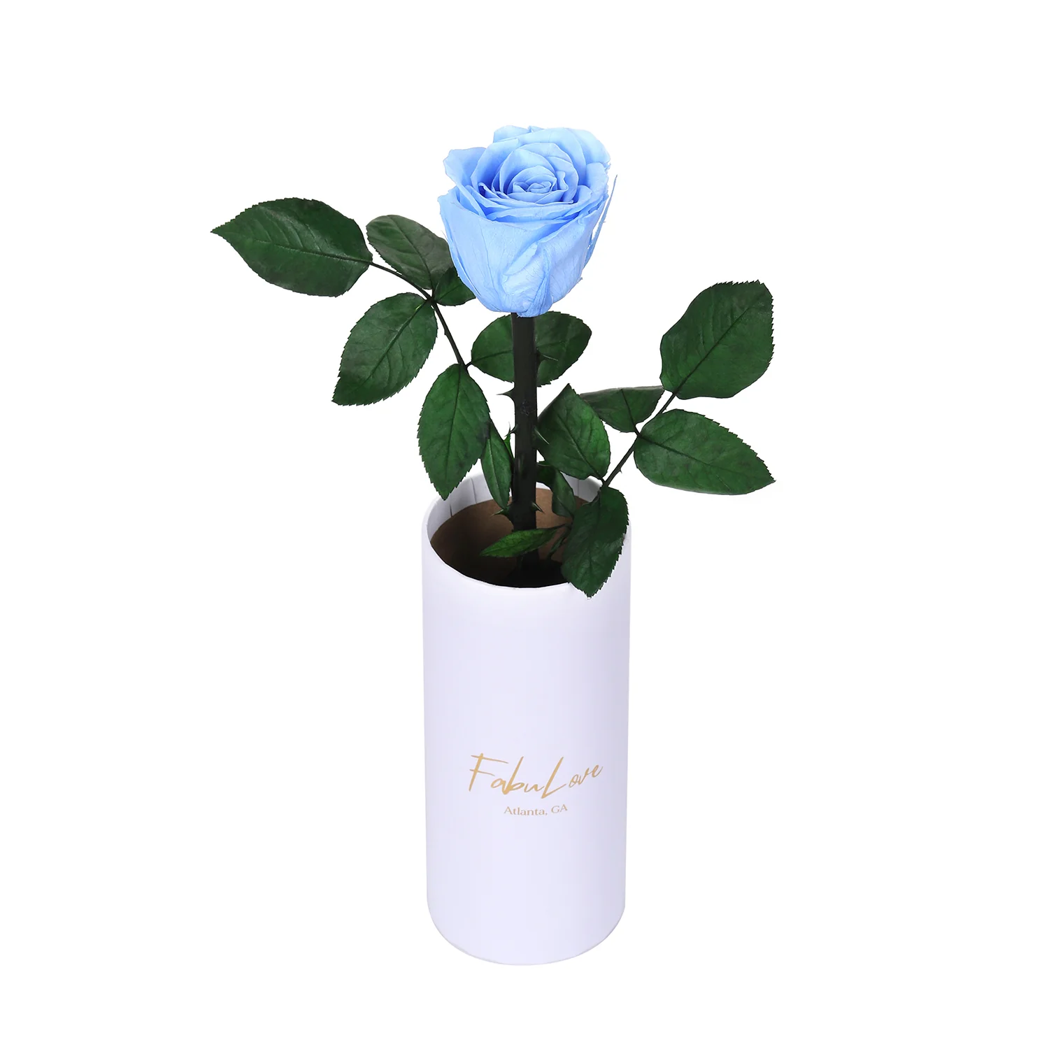 Classic Single Eternal Rose - Image 11