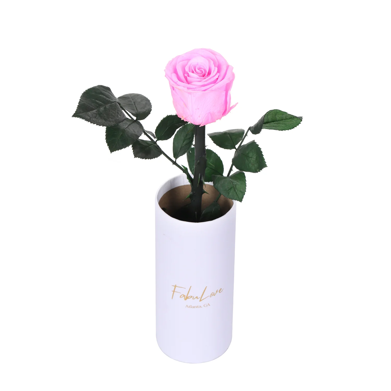 Classic Single Eternal Rose - Image 12