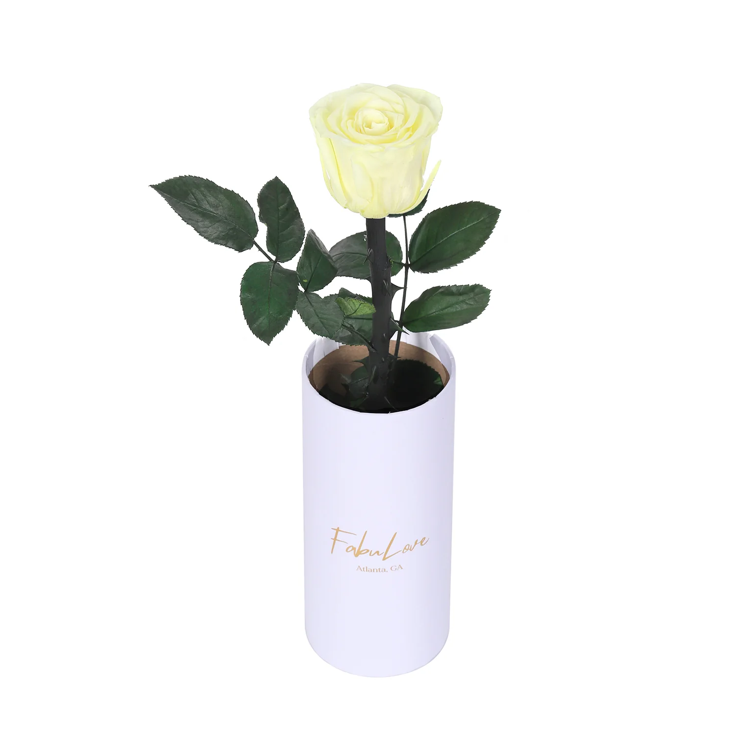 Classic Single Eternal Rose - Image 13