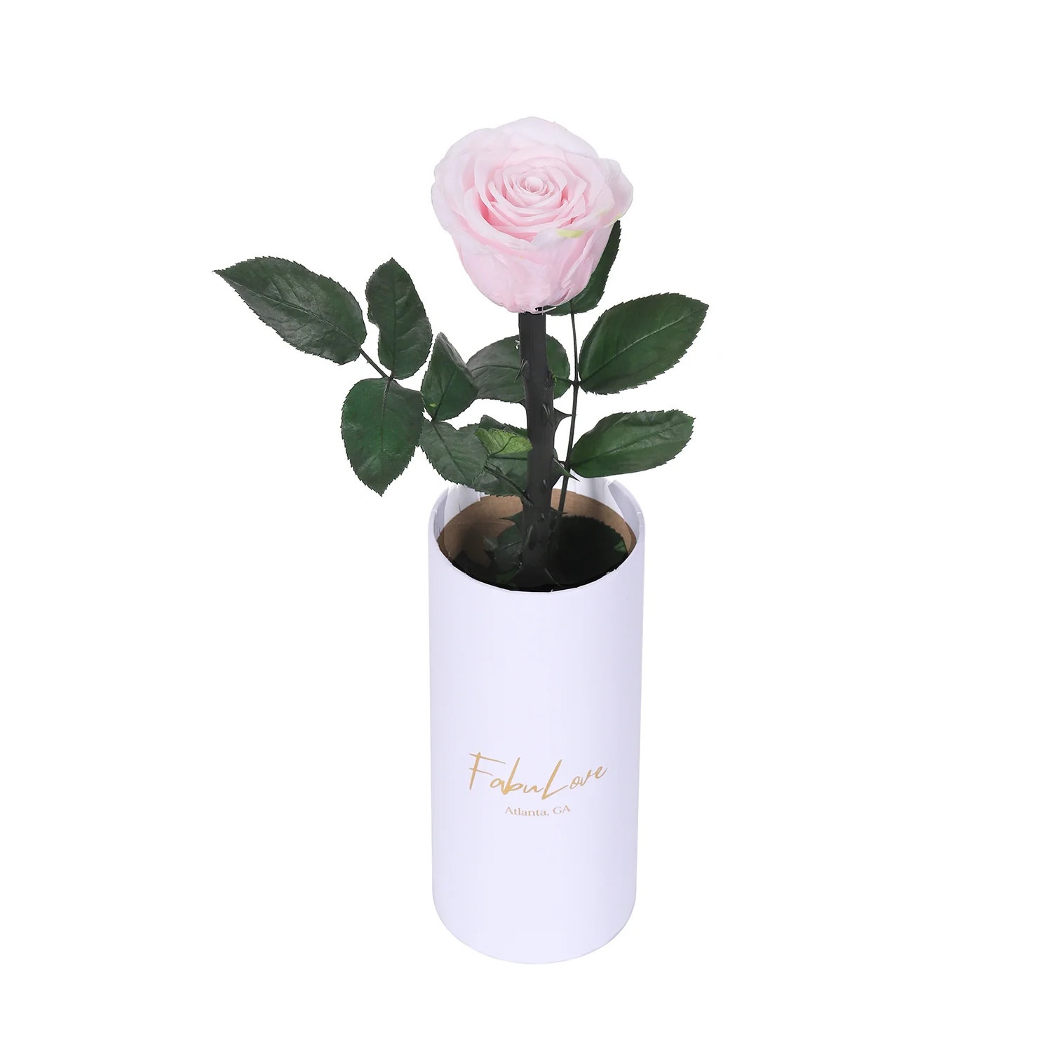 Classic Single Eternal Rose - Image 14