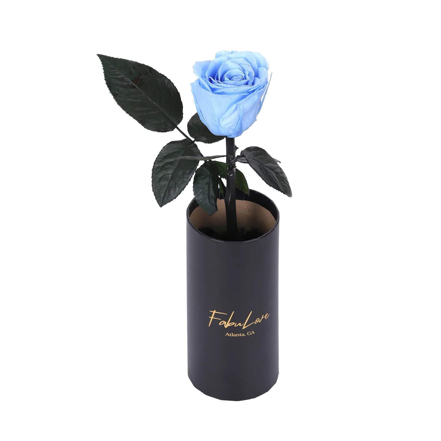 Classic Single Eternal Rose - Image 4