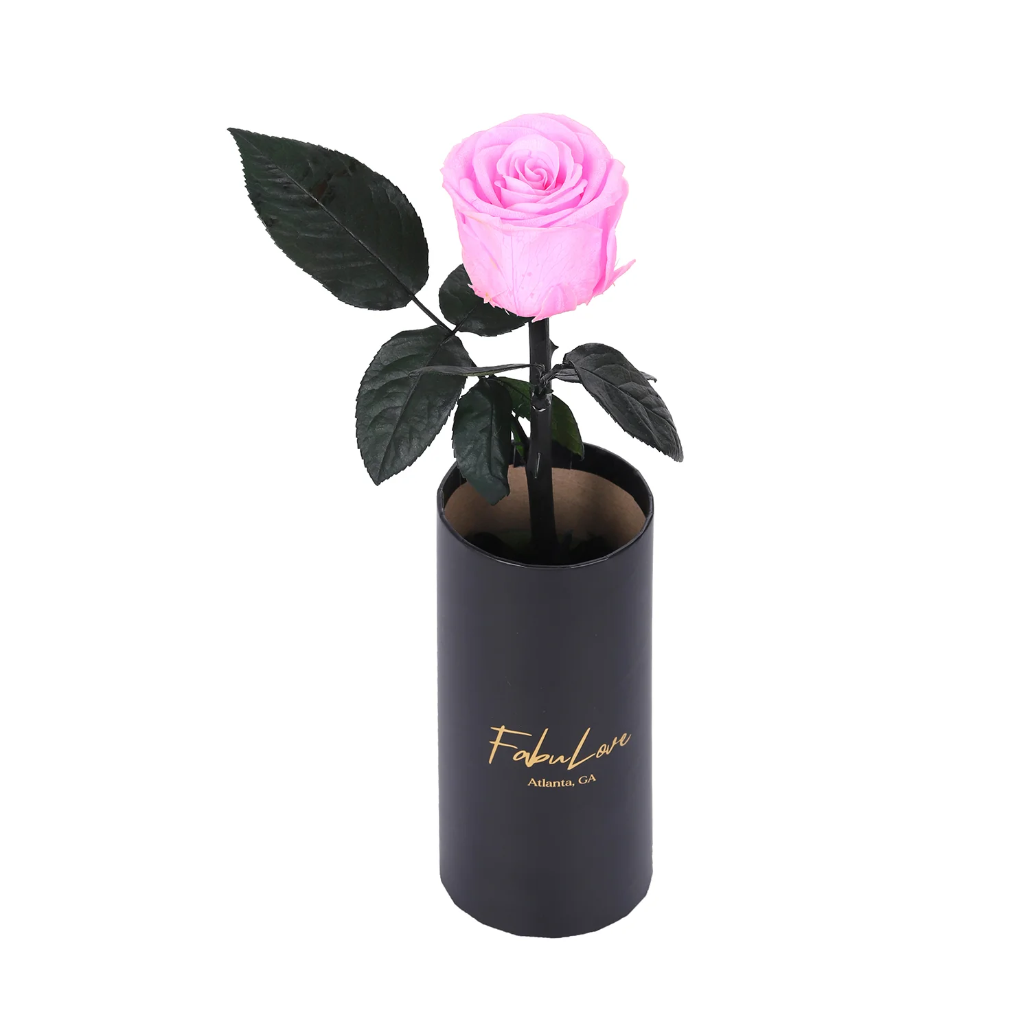 Classic Single Eternal Rose - Image 5