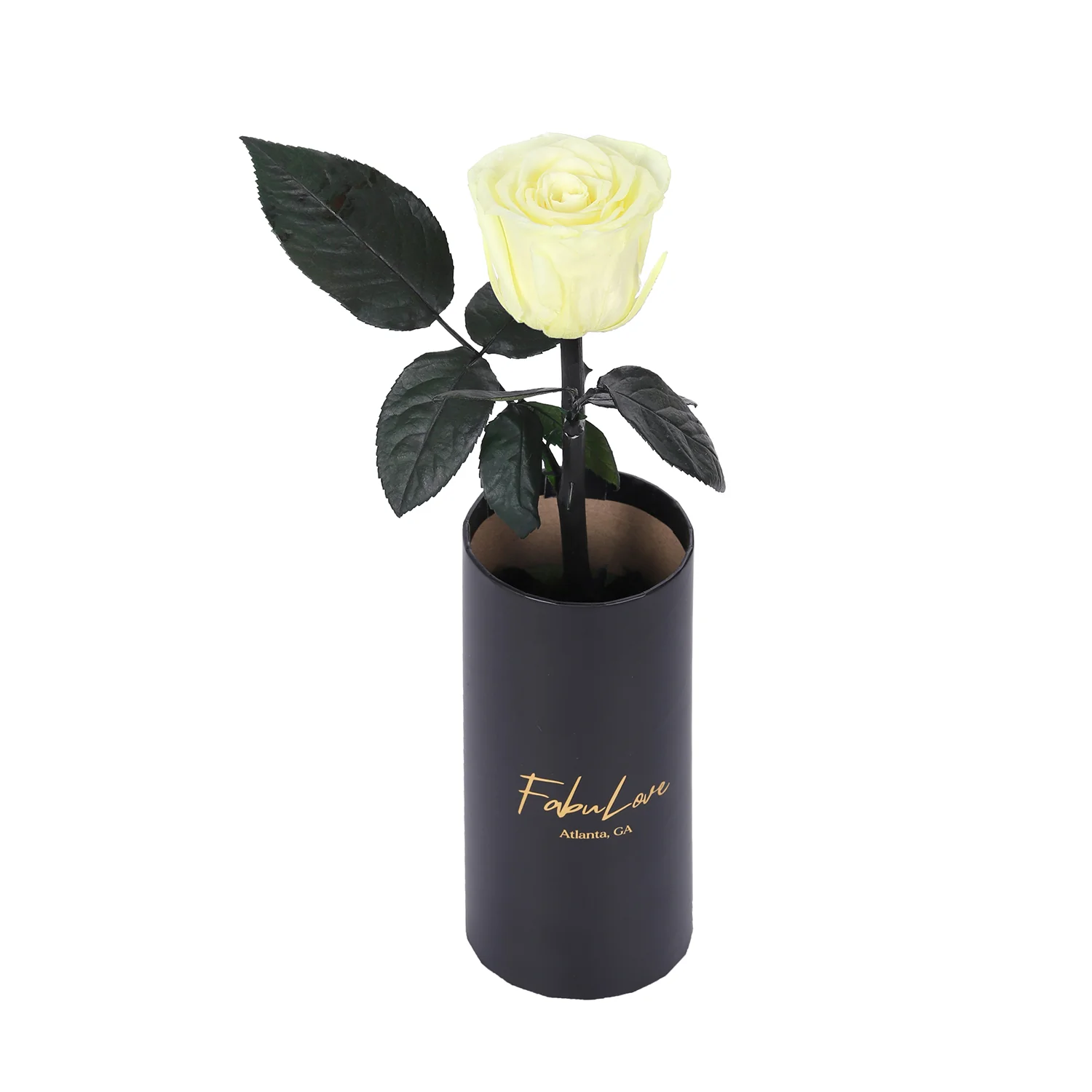 Classic Single Eternal Rose - Image 6