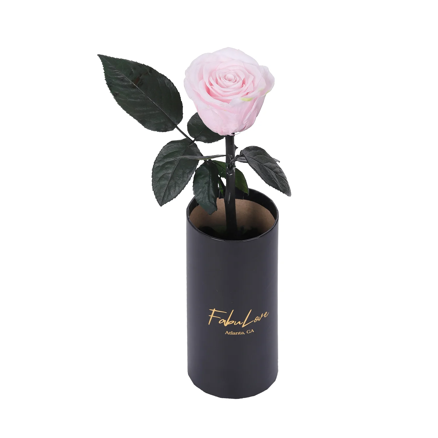 Classic Single Eternal Rose - Image 7