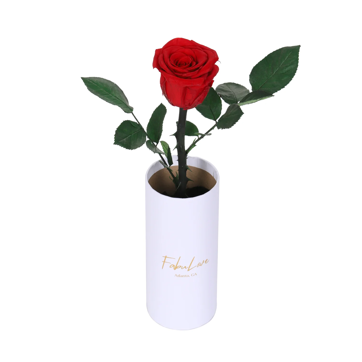 Classic Single Eternal Rose - Image 8